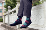 10 paia calze WEWER da uomo in cotone fantasie miste